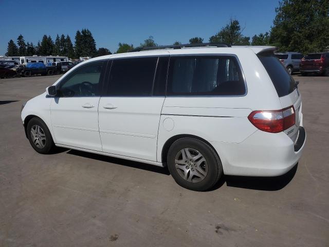 HONDA ODYSSEY EX 2006 white sports v gas 5FNRL38416B061004 photo #3