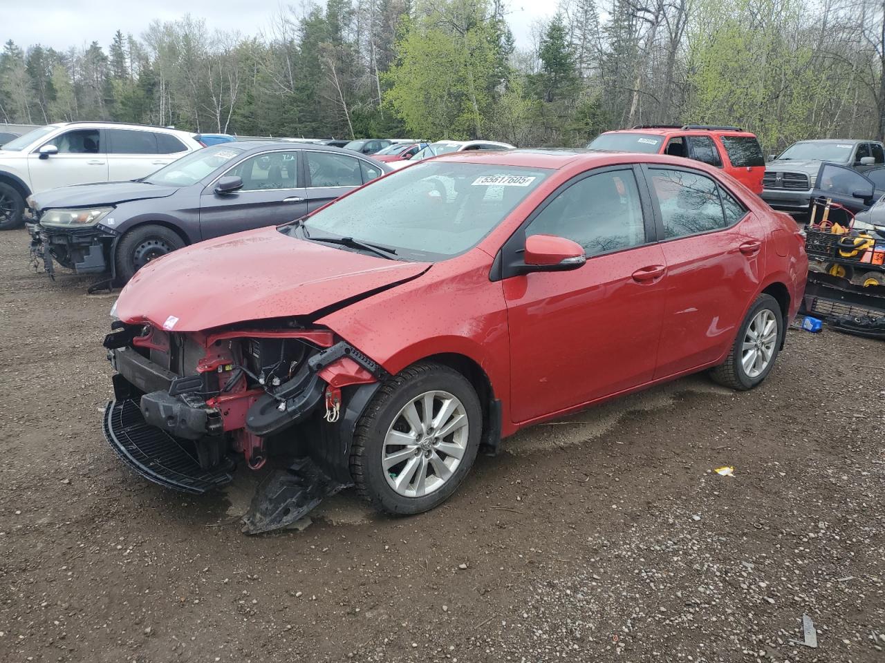 TOYOTA COROLLA L