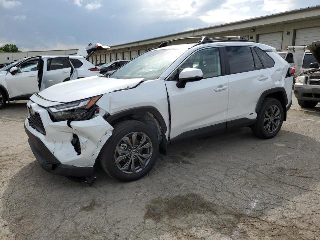 TOYOTA RAV4 XLE P