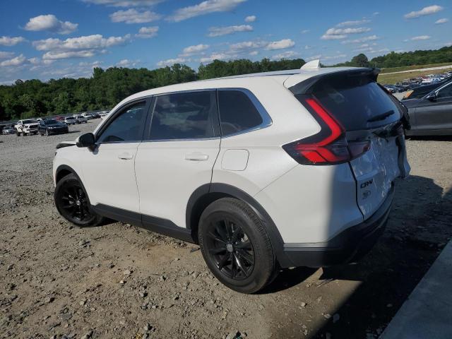 Vin: 5j6rs3h79rl009354, lot: 55649235, honda crv exl 20242