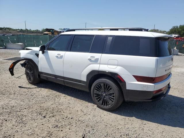 Vin: 5nmp54g17sh019847, lot: 57211915, hyundai santa fe calligraphy 20252