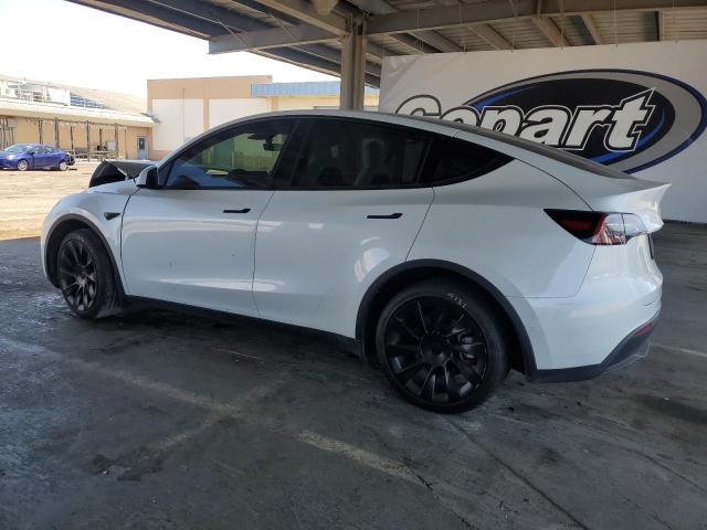 2021 TESLA MODEL Y - 5YJYGDEE8MF279831