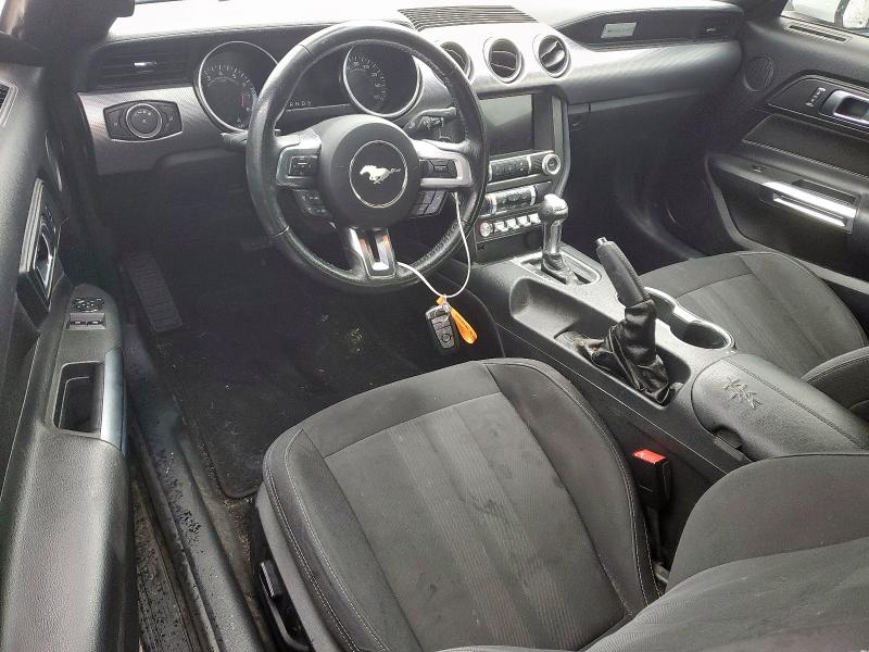 2019 FORD MUSTANG - 1FA6P8TH4K5130459