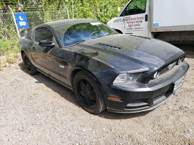 Vin: 1zvbp8cfxe5334028, lot: 57643235, ford mustang gt 20144