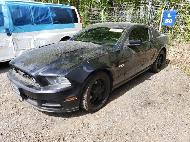 Vin: 1zvbp8cfxe5334028, lot: 57643235, ford mustang gt 2014 img_1