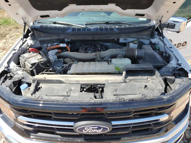 2024 FORD F150 XLT 1FTFW3LDXRFA52223