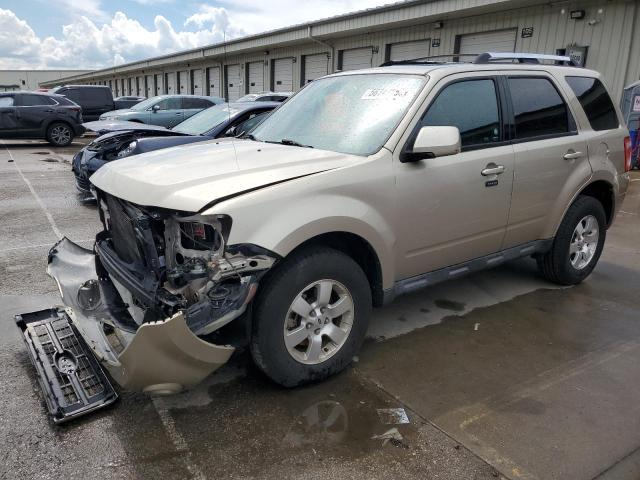 Vin: 1fmcu9eg2akb77985, lot: 56747655, ford escape limited 2010 img_1