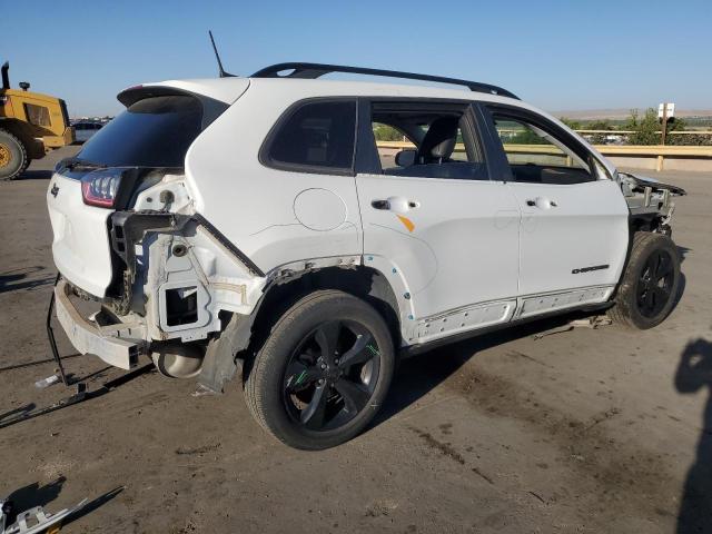 2019 JEEP CHEROKEE L 1C4PJLLB2KD377323