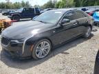 Top Destinations for Shipping Cars from the USA