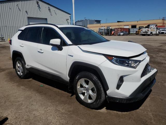 Vin: 2t3rwrfv6lw078974, lot: 58001045, toyota rav4 xle 20204