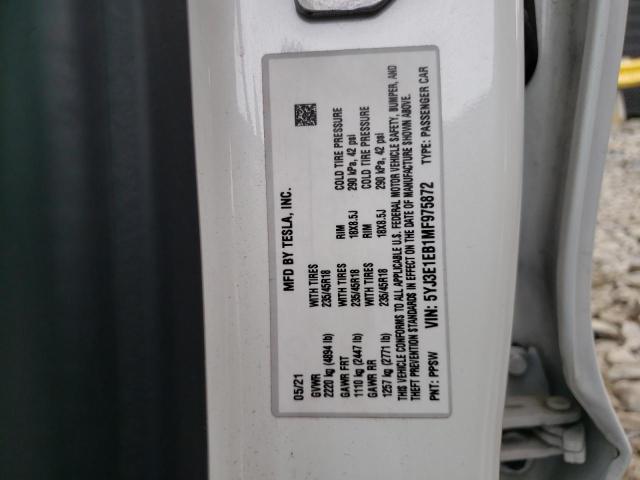 2021 TESLA MODEL 3 - 5YJ3E1EB1MF975872