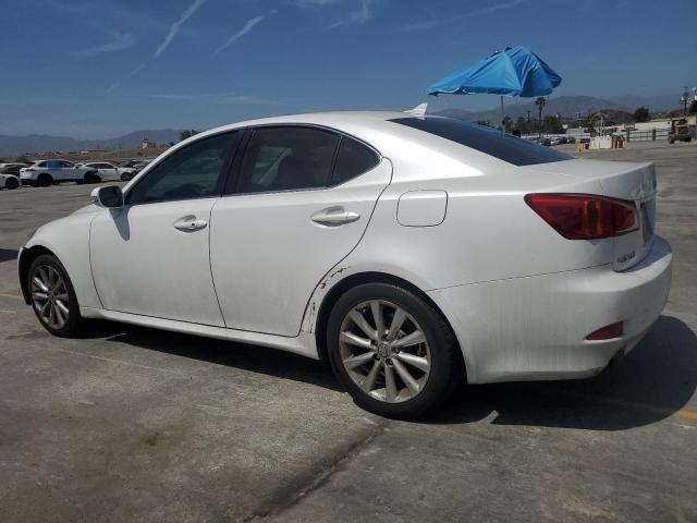 LEXUS IS 250 2009 white  gas JTHBK262395093215 photo #3