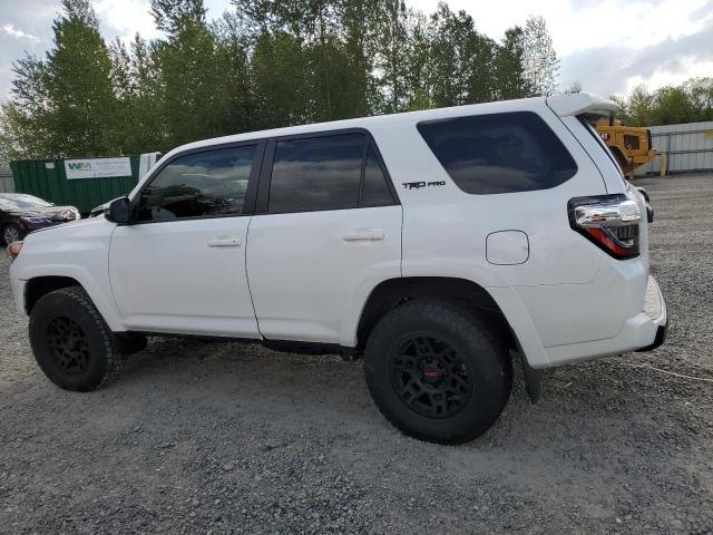 Vin: jtelu5jr9r6303909, lot: 56294965, toyota 4runner sr5 premium 20242