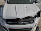 Lot #3303073759 2014 FORD ESCAPE SE