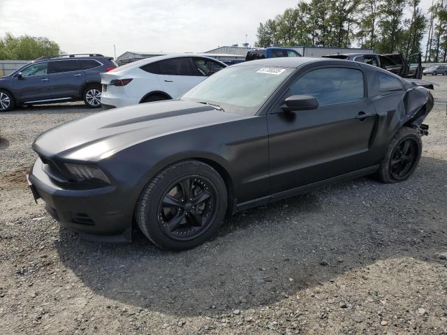 Vin: 1zvbp8am6c5210840, lot: 57708335, ford all models 2012 img_1
