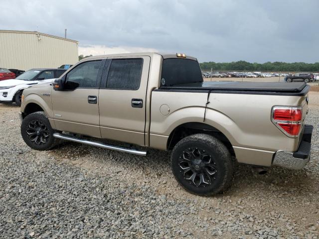 Vin: 1ftfw1et5cfc30264, lot: 55231195, ford f-150 supercrew 20122