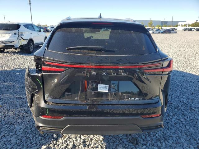 2025 LEXUS NX 250 BAS 2T2ADCAZ0SC017635