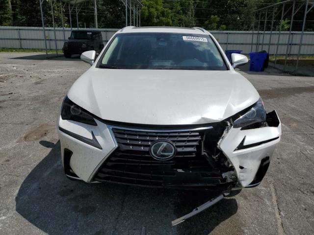 2019 LEXUS NX 300 BAS - JTJYARBZ3K2116734