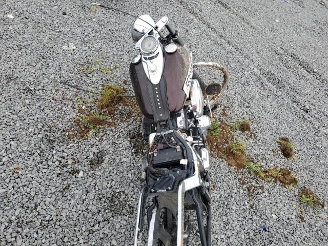 2011 HARLEY-DAVIDSON FLSTC 1HD1BW516BB019452