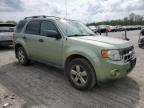Lot #3301747368 2008 FORD ESCAPE