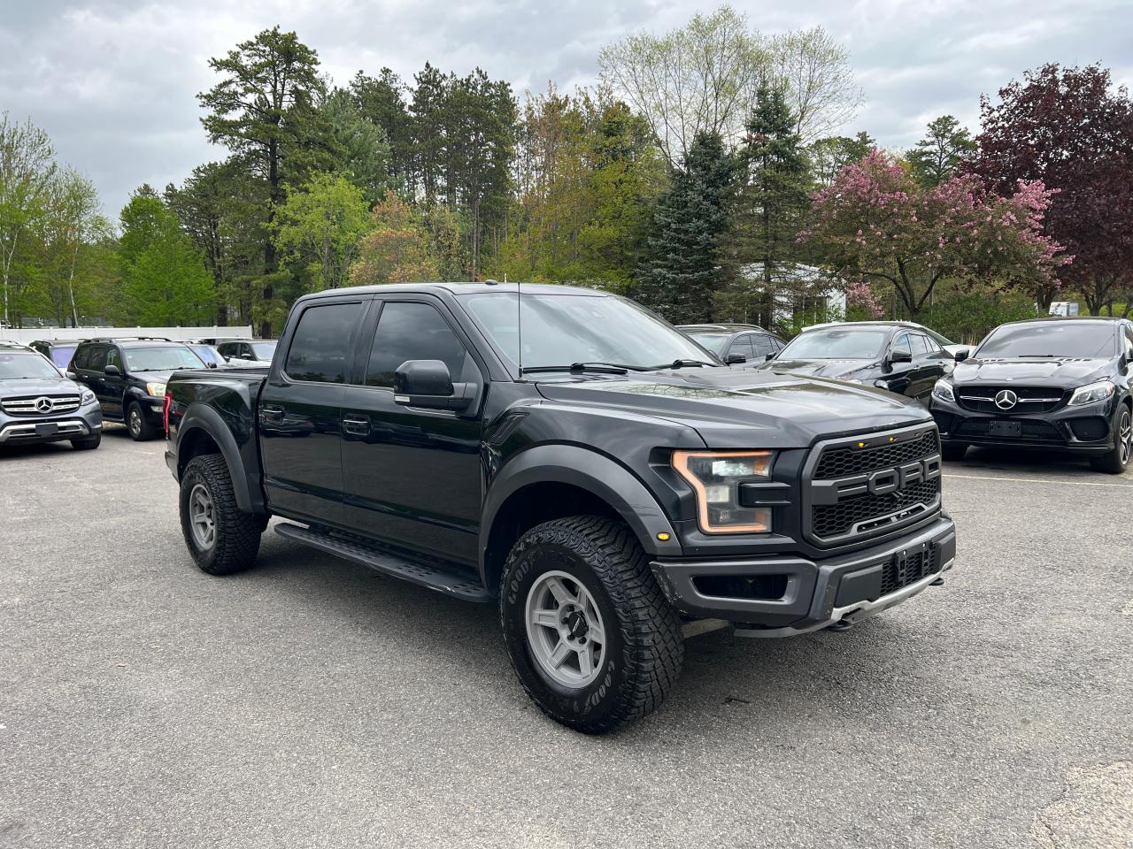 FORD F-150 RAPTOR