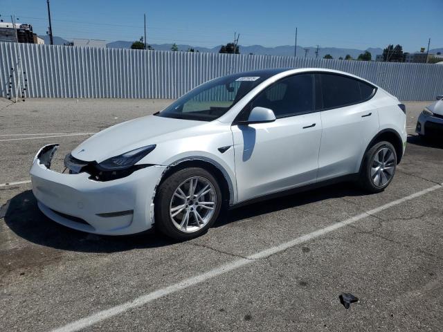 Vin: 7saygdee3pa064507, lot: 55875975, tesla model y 2023 img_1