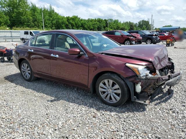 Vin: 1hgcp3f88ba009485, lot: 55088555, honda accord exl 20114