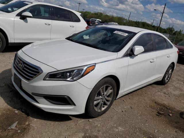 Vin: 5npe24af1gh319995, lot: 55302395, hyundai sonata se 2016 img_1