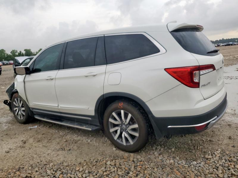 Vin: 5fnyf5h57kb039493, lot: 59211365, honda pilot exl 20192