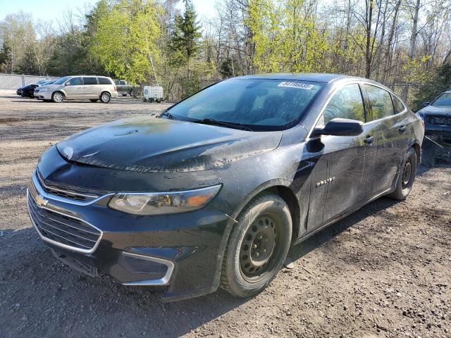 Vin: 1g1zb5st7gf342311, lot: 54198835, chevrolet malibu ls 2016 img_1