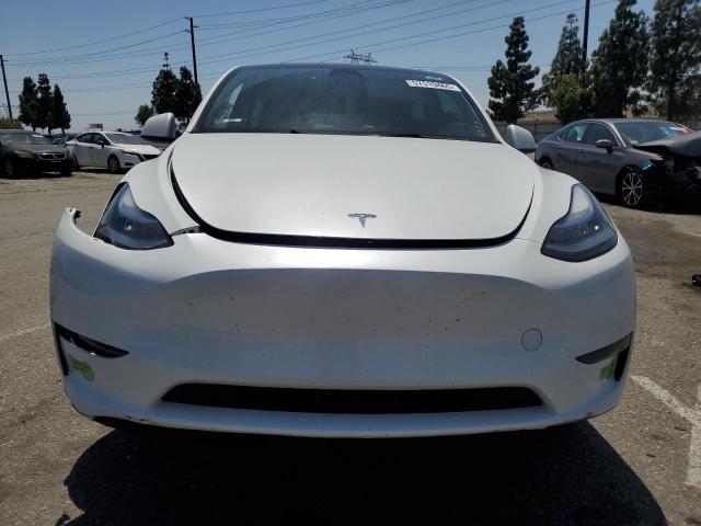2023 TESLA MODEL Y 7SAYGDEE3PA065754