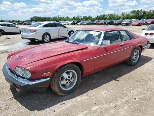 Vin: sajna5845jc144197, lot: 56570535, jaguar xjs 1988 img_1