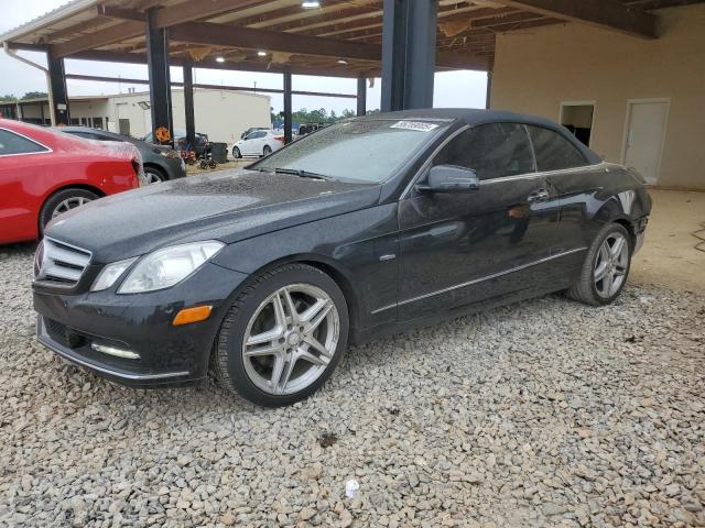 Vin: wddkk5kf6cf181534, lot: 55259005, mercedes-benz e-class 350 2012 img_1