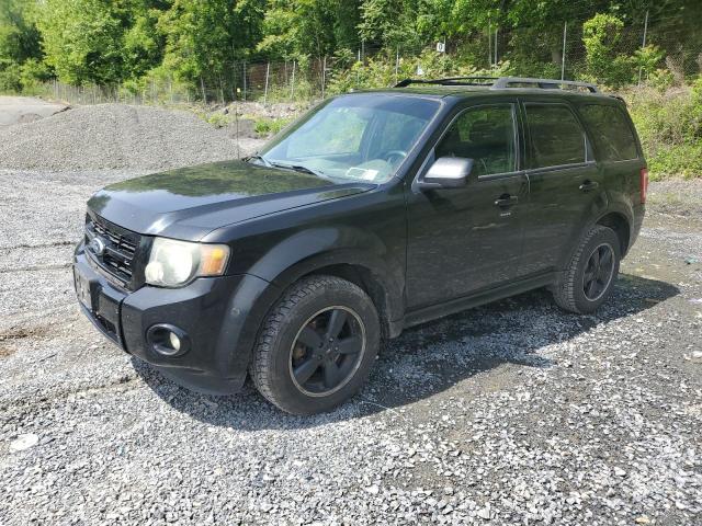 Vin: 1fmcu9dg1akd04629, lot: 58465055, ford escape xlt 2010 img_1