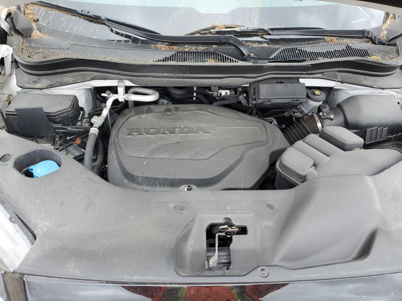 HONDA PASSPORT BLACK EDITION