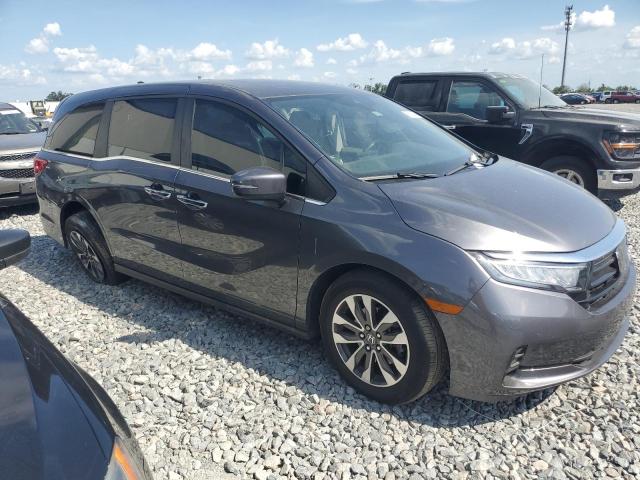 Vin: 5fnrl6h60pb058132, lot: 57802385, honda all models exl 20234