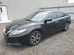 2017 NISSAN ALTIMA 2.5 - 1N4AL3AP7HC133069