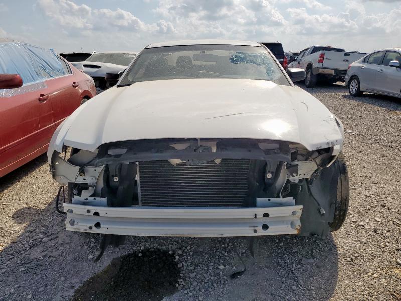 2013 FORD MUSTANG - 1ZVBP8AM1D5279002