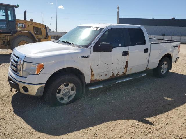 Vin: 1ftfw1ef5cfb75647, lot: 55333345, ford f-150 supercrew 2012 img_1