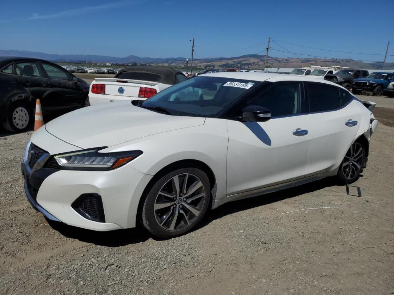 NISSAN MAXIMA SV