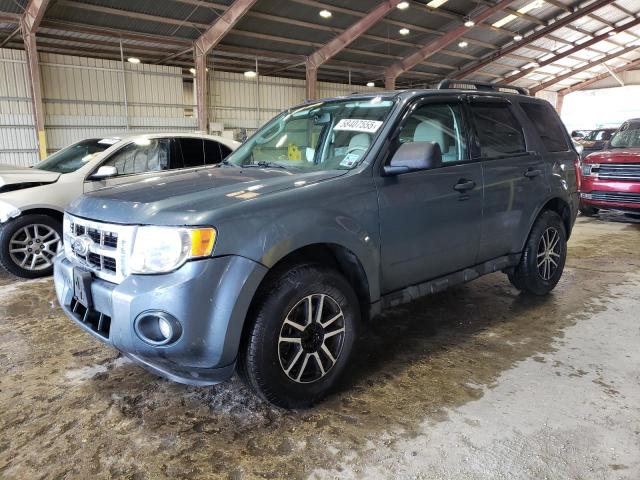 Vin: 1fmcu0d71akd07915, lot: 58407555, ford escape xlt 2010 img_1