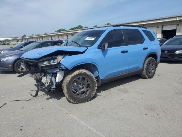 2024 HONDA PILOT TRAI 5FNYG1H66RB022905
