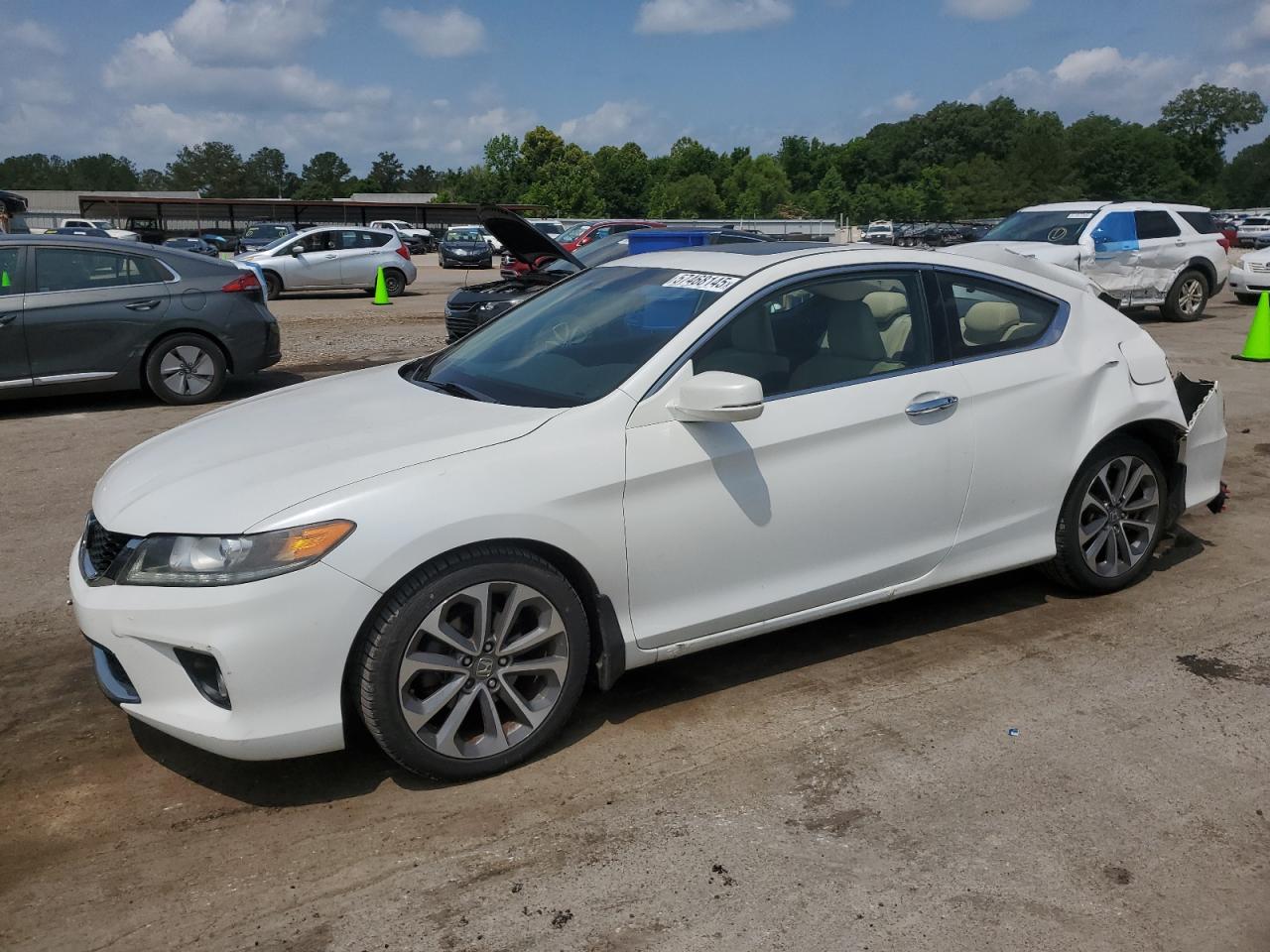 HONDA ACCORD EXL