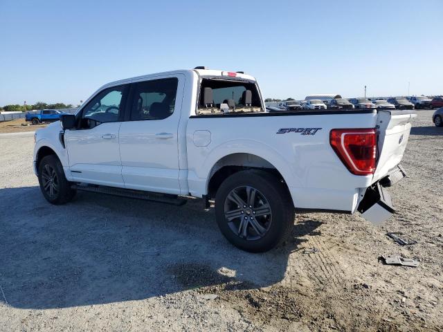 Vin: 1ftfw1ed6pfd10526, lot: 58430555, ford f-150 supercrew 20232