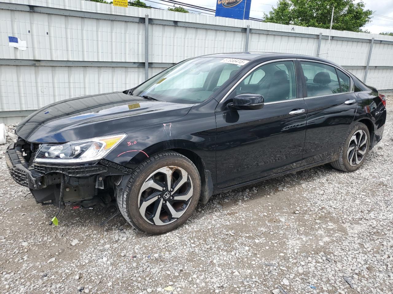 HONDA ACCORD EXL