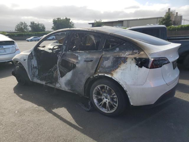 Vin: 7saygdee1rf025842, lot: 56226065, tesla model y 20242