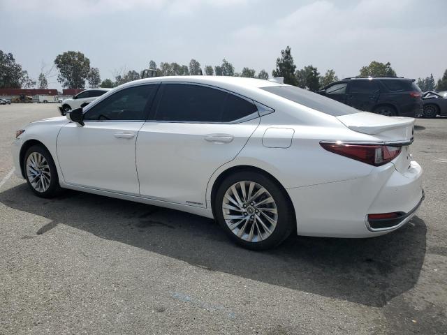 Vin: 58aea1c18mu006497, lot: 55642005, lexus es300 300h luxury 20212