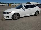 2015 KIA OPTIMA LX - KNAGM4A73F5549254