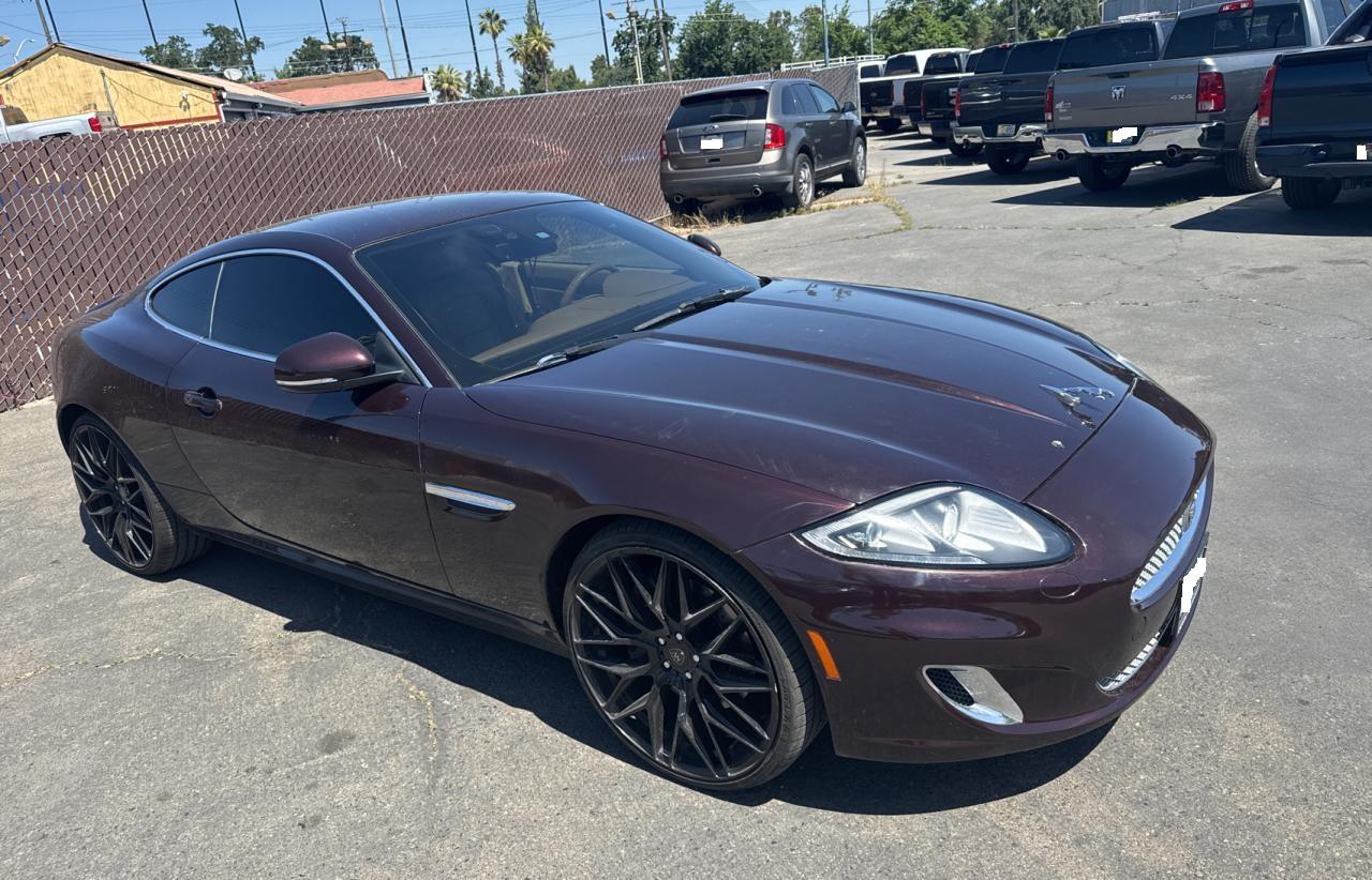 JAGUAR XK