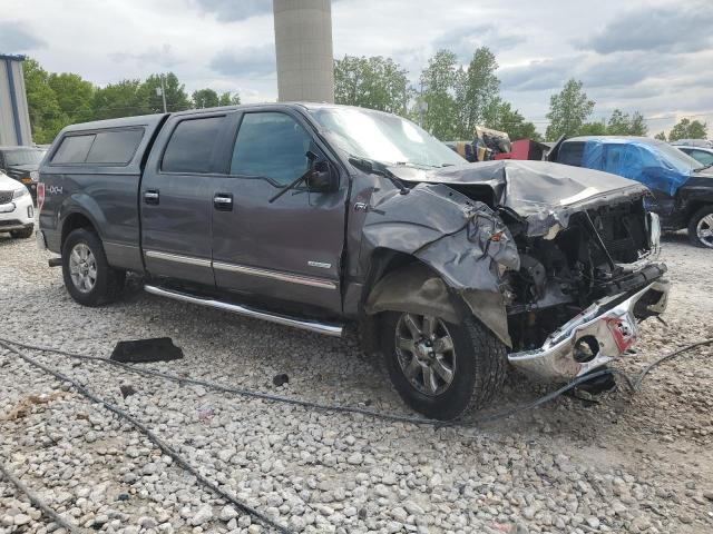 Vin: 1ftfw1et8dkd05483, lot: 57693415, ford f-150 supercrew 20134